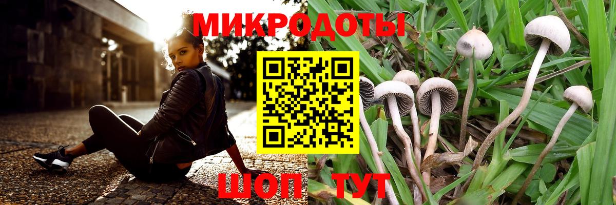 Галлюциногенные грибы мухоморы  Псилоцибиновые грибы ЛСД  Вход с VPN  Новокубанск 