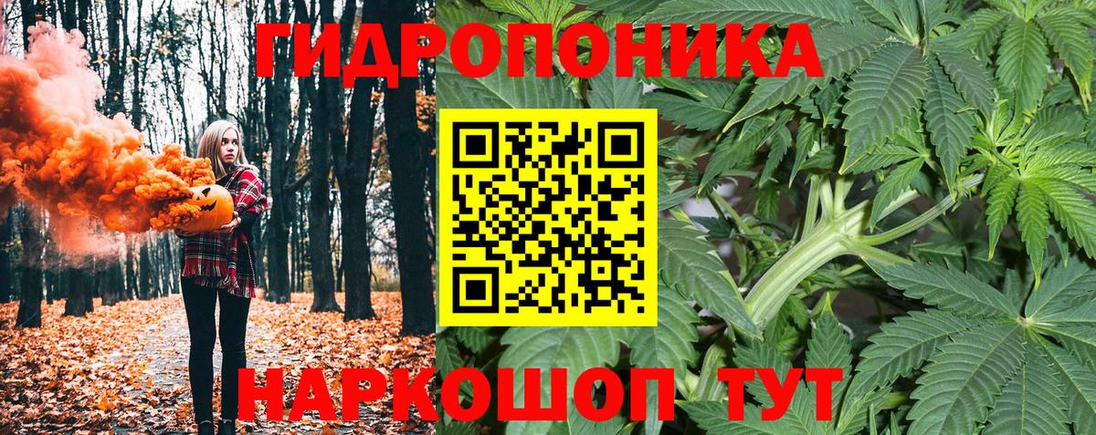 Шишки марихуана индика  Вход с VPN  Новокубанск  Бошки Шишки Amnesia  МАРИХУАНА OG Kush 